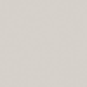Obklad Rako Color One světle šedá 15x15 cm mat WAA19112.1