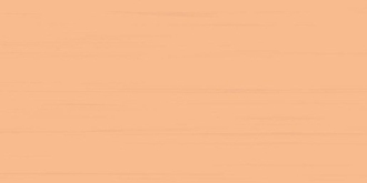 Obklad Rako Easy R oranžová 20x40 cm mat WATMB065.1