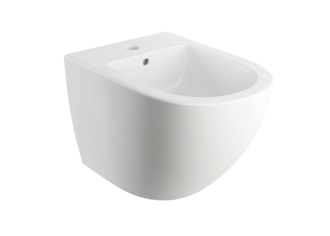 Omnires OTTAWA závěsný bidet 48,5x37cm, matná bílá OTTAWABIBM