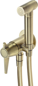 Deante TEMISTO podomítková bidetová baterie s ruční sprškou Bidetta, mosaz BQT_M34M