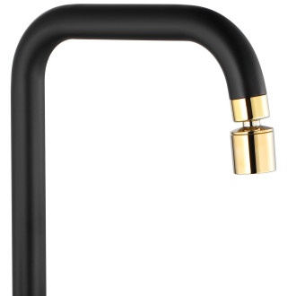 Rea Polo kuchyňská baterie, black gold REA-B9980