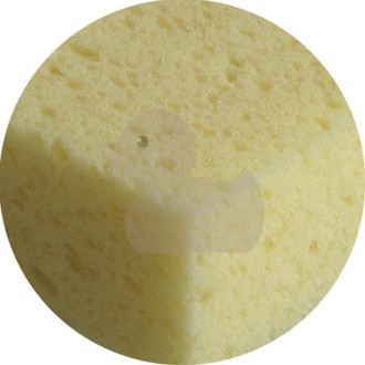 Houba mycí Rubi sweepex R20928