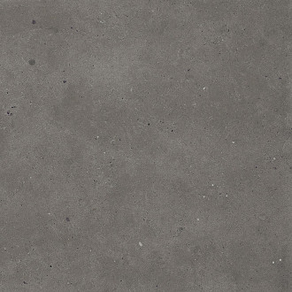 Dlažba Graniti Fiandre Fjord Brown 60x60 cm mat AS213X860R10
