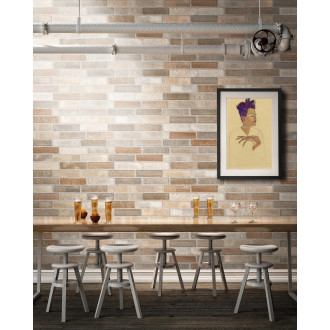 Obklad Ege Atlas multicolor 30x60 cm mat ATS22