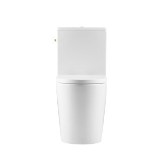 Brevis WC kombi rim-ex vč. sed, var. kap SATBRE031RREXVP