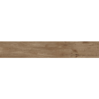 Dlažba Fineza Alpina brown 20x120 cm mat ALPINA2012BR
