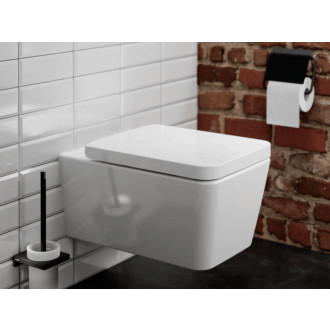 Wc štětka Hansgrohe AddStoris matná černá 41752670