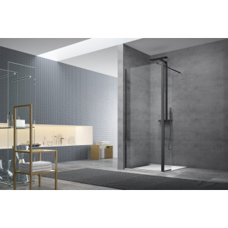 Walk-in 97x200(pouze sklo), Easy clean SATBWI100PRCROZC