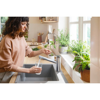 Dřezová baterie Hansgrohe Zesis chrom 74806000