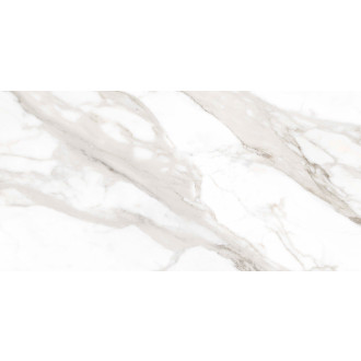 Dlažba Ragno Incanto Calacatta Nobile 60x120 cm mat R8SF