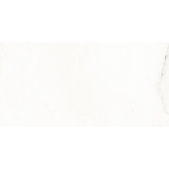 Obklad Rako Vein bílá 30x60 cm mat WAKVK233.1