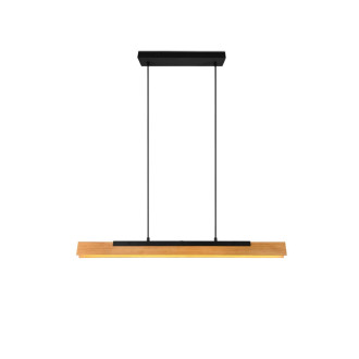 Závěsné osvětlení Trio Kerala TR 341610132