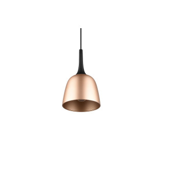 Závěsné osvětlení Trio Chiron TR 310800108