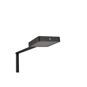 Stolní lampa Trio Pavia TR 470310132