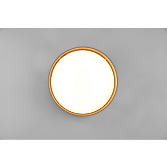 Led osvětlení Reality Locarno 30x11 cm plast nědá R64191141