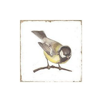 FORLI obklad Birds Decor Mix 20x20 FOL014