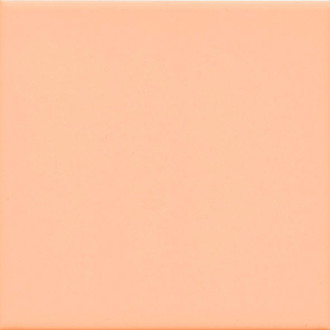 UNICOLOR 20 obklad Salmon mate 20x20 (1m2) 12884