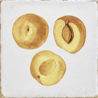 FORLI obklad Fruits Decor Mix 15x15 FOL017