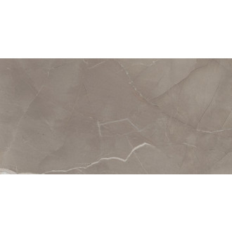 PASSION Lux Taupe 30x60 (1,08m2) 0PZW