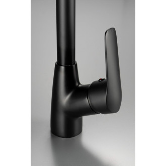 Deante BORO dřezová baterie s U ramínkem, černá BMO_N62M
