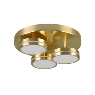 LED stropní osvětlení Trio Franklin mosaz 626510308