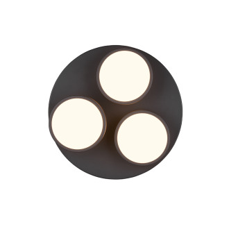 LED stropní osvětlení Trio Franklin antracit 626510342
