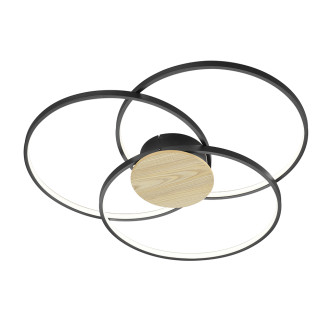 LED stropní osvětlení Trio Sedona černá 673210332