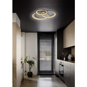 LED stropní osvětlení Trio Granada černá 673810332
