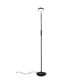 LED stojací lampa Trio Monza černá 423310132