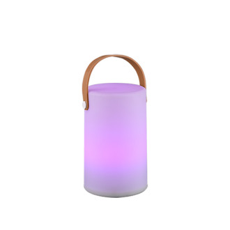 LED stolní lampa Reality Aruba bílá R57080101