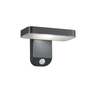 LED Nástěnná lampa Reality Esquel antracit R22261142