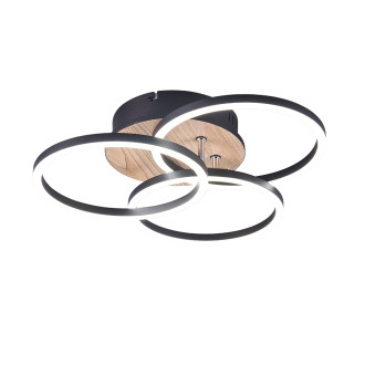 LED stropní osvětlení Reality Circle dřevodekor R62823135