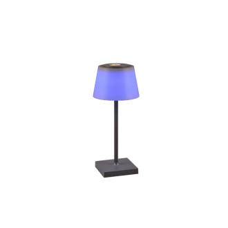LED stolní lampa Reality Sanchez antracit R54126142