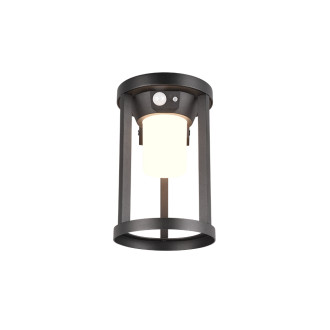 LED Nástěnná lampa Trio Carmo černá 241069132