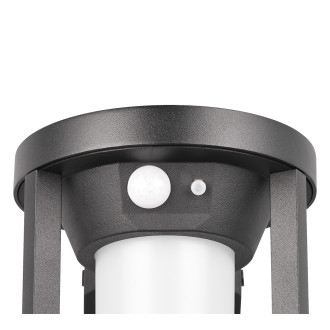 LED Nástěnná lampa Trio Carmo černá 241069132