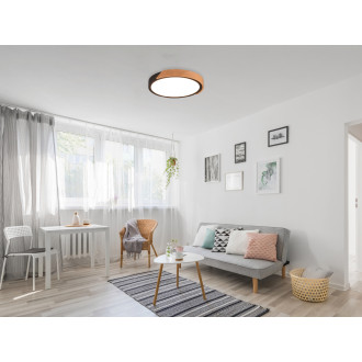 LED stropní osvětlení Reality Jano černá R67201132