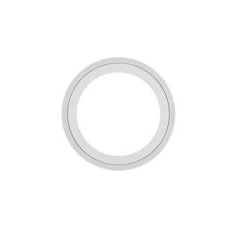 LED stropní osvětlení Reality Carus bílá R67223331