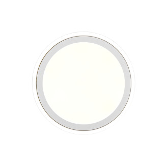 LED stropní osvětlení Reality Carus bílá R67224331