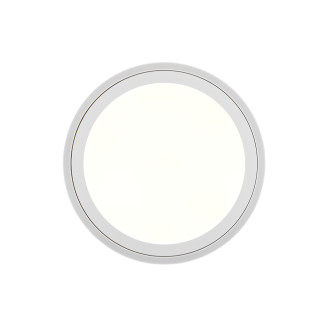 LED stropní osvětlení Reality Carus bílá R67224331