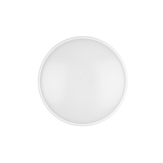 LED stropní osvětlení Reality Limbus bílá R67021931