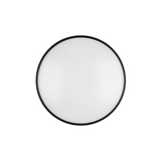LED stropní osvětlení Reality Limbus černá R67021932