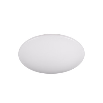 LED stropní osvětlení Reality Fara bílá R65006000