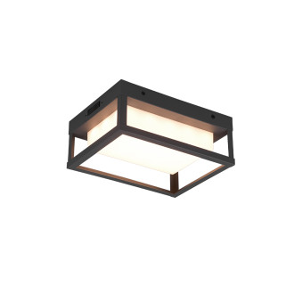 LED Nástěnná lampa Trio Witham antracit 277860142