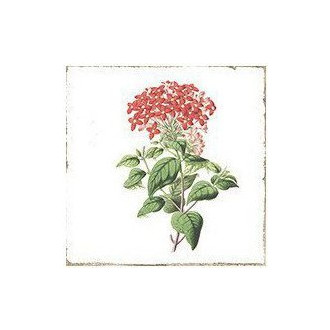 FORLI obklad Flowers Decor Mix 20X20