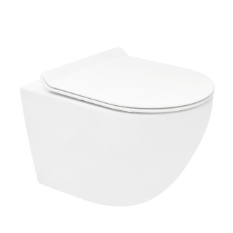 Wc s prkénkem softclose závěsné bílé vírové WC01T