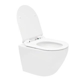 Wc s prkénkem softclose závěsné bílé vírové WC01T