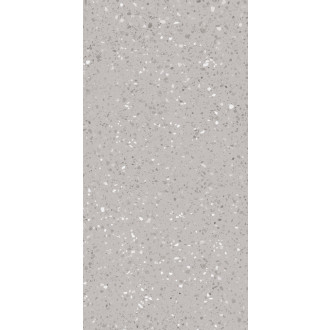 Dlažba Rako Porfido šedá 60x120 cm mat / lesk DASV9811.1