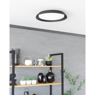 LED Stropní osvětlení Eglo PENJAMO 1 černá 900857