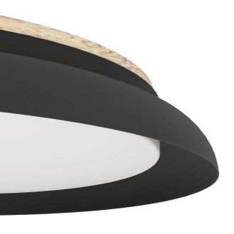 LED Stropní osvětlení Eglo PENJAMO 1 černá 900857