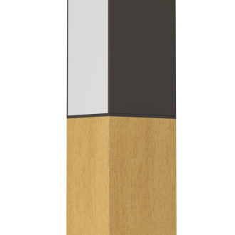 LED Nástěnná lampa Eglo TUDONS černá 900871